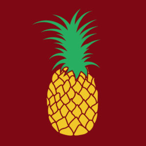 Pineapple Jacket Design